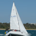syc