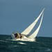 syc